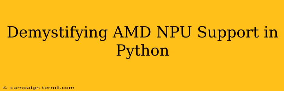 Demystifying AMD NPU Support in Python