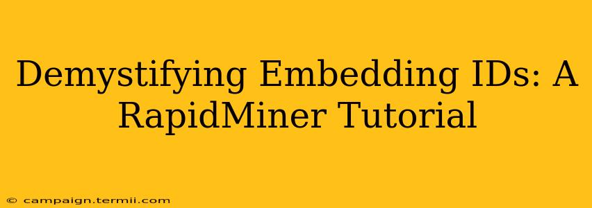 Demystifying Embedding IDs: A RapidMiner Tutorial