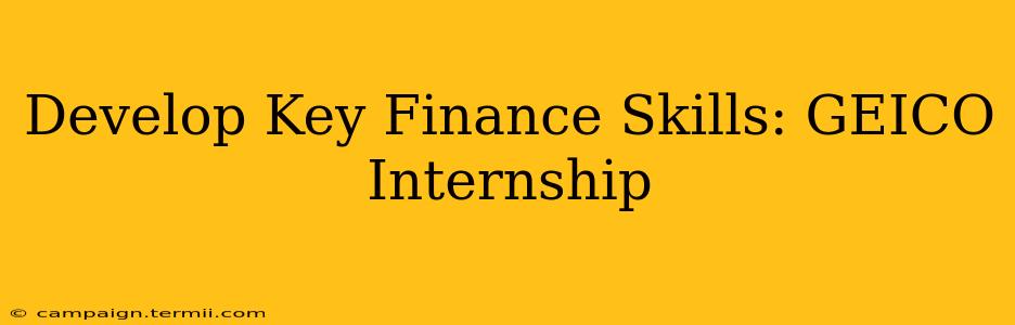 Develop Key Finance Skills: GEICO Internship