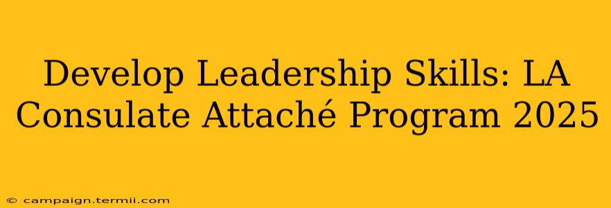 Develop Leadership Skills: LA Consulate Attaché Program 2025