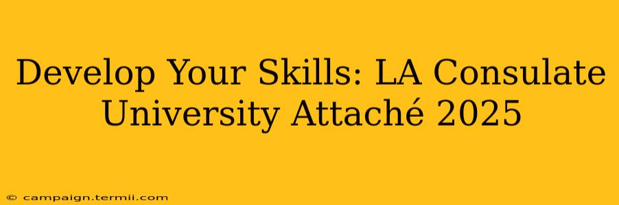 Develop Your Skills: LA Consulate University Attaché 2025