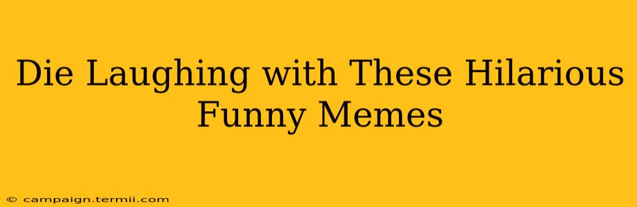 Die Laughing with These Hilarious Funny Memes