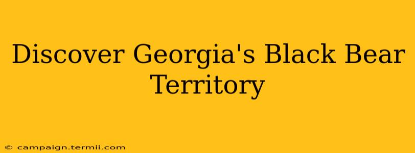 Discover Georgia's Black Bear Territory