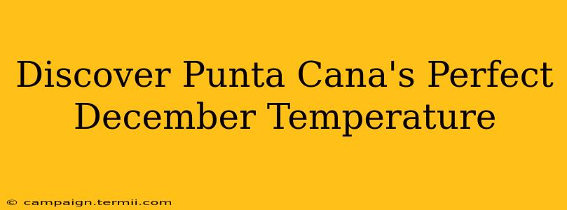 Discover Punta Cana's Perfect December Temperature