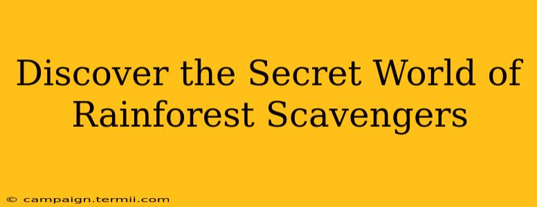 Discover the Secret World of Rainforest Scavengers