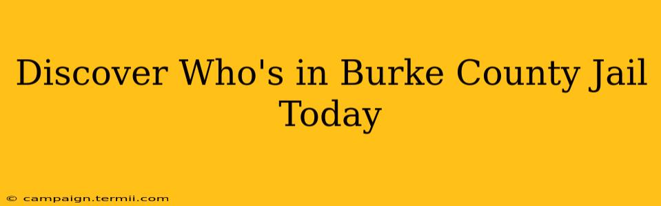 Discover Who's in Burke County Jail Today