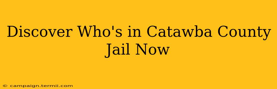 Discover Who's in Catawba County Jail Now