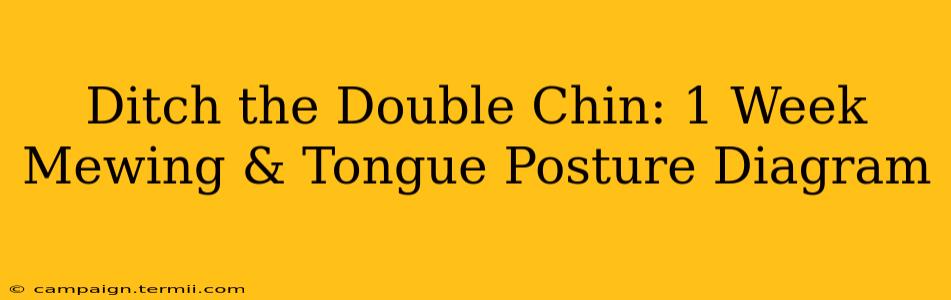 Ditch the Double Chin: 1 Week Mewing & Tongue Posture Diagram