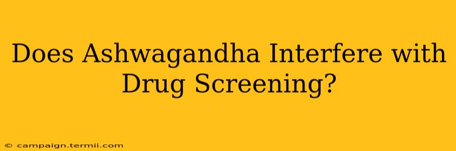 Does Ashwagandha Interfere with Drug Screening?