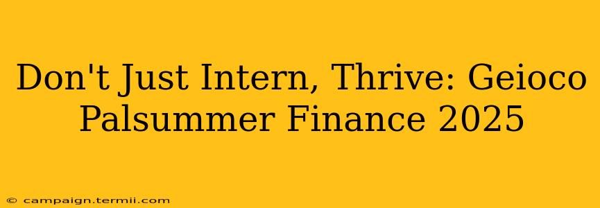 Don't Just Intern, Thrive: Geioco Palsummer Finance 2025