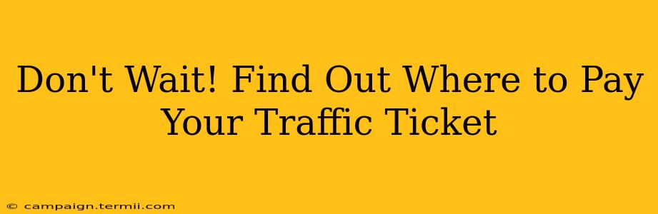 Don't Wait! Find Out Where to Pay Your Traffic Ticket