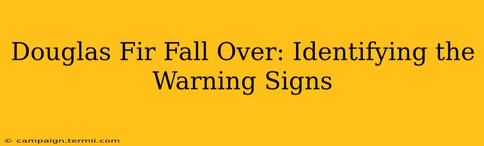 Douglas Fir Fall Over: Identifying the Warning Signs