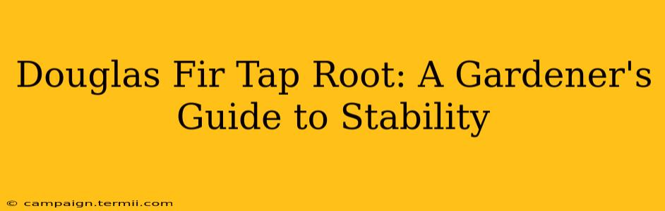 Douglas Fir Tap Root: A Gardener's Guide to Stability