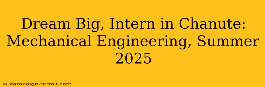 Dream Big, Intern in Chanute: Mechanical Engineering, Summer 2025