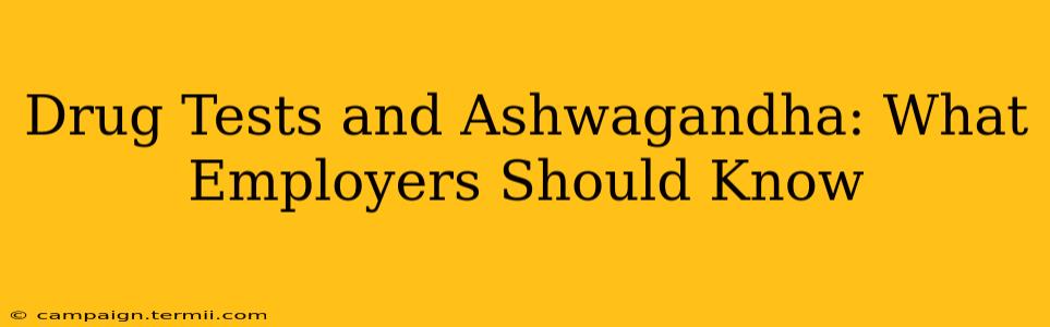 Drug Tests and Ashwagandha: What Employers Should Know