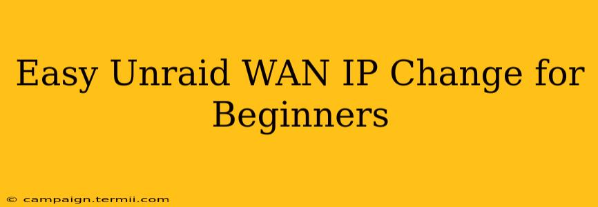 Easy Unraid WAN IP Change for Beginners