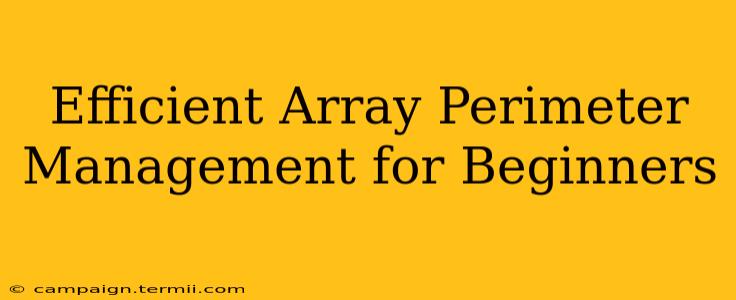 Efficient Array Perimeter Management for Beginners