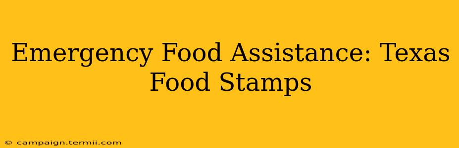 Emergency Food Assistance: Texas Food Stamps