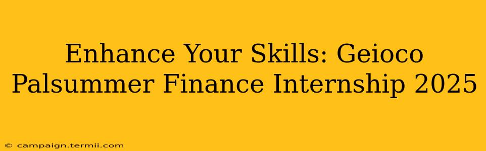 Enhance Your Skills: Geioco Palsummer Finance Internship 2025