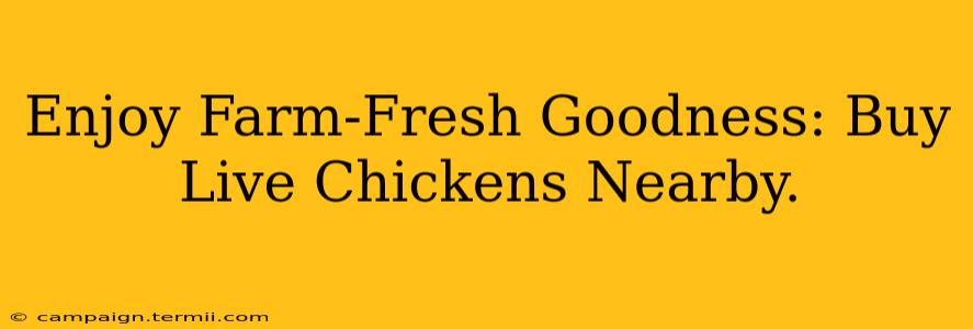 Enjoy Farm-Fresh Goodness: Buy Live Chickens Nearby.