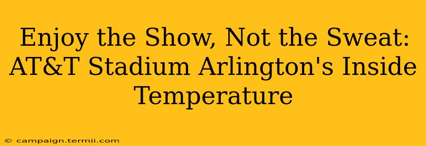 Enjoy the Show, Not the Sweat: AT&T Stadium Arlington's Inside Temperature