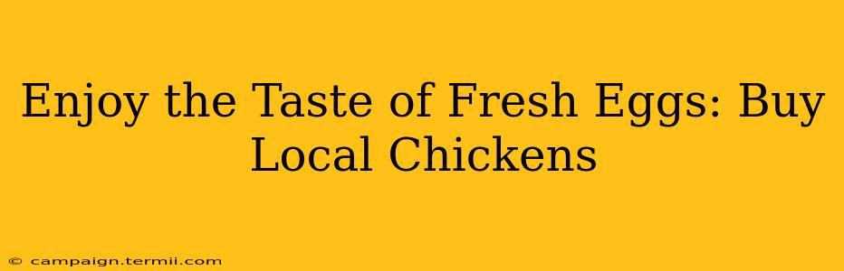 Enjoy the Taste of Fresh Eggs: Buy Local Chickens