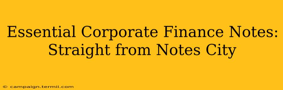 Essential Corporate Finance Notes: Straight from Notes City