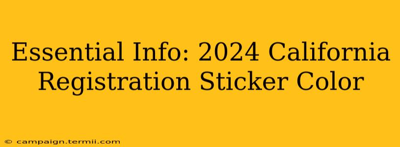 Essential Info: 2024 California Registration Sticker Color