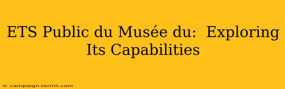 ETS Public du Musée du:  Exploring Its Capabilities