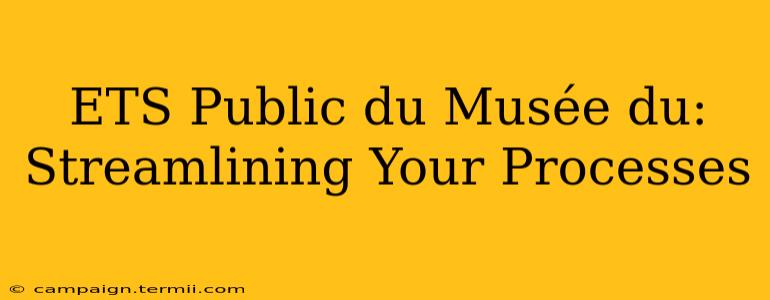 ETS Public du Musée du:  Streamlining Your Processes