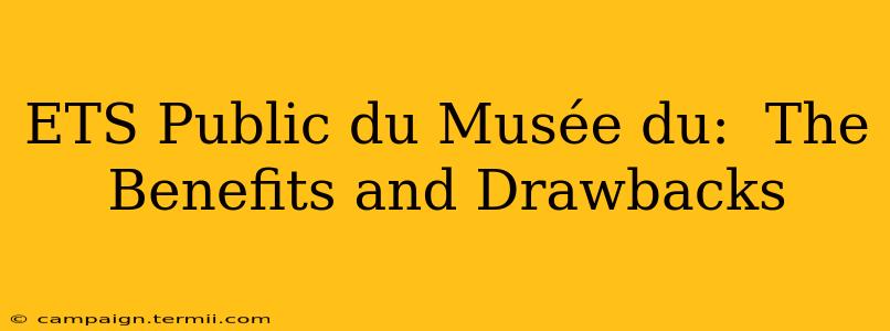 ETS Public du Musée du:  The Benefits and Drawbacks