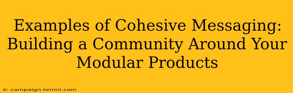 Examples of Cohesive Messaging: Building a Community Around Your Modular Products