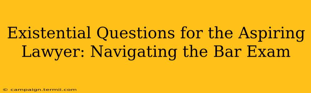 Existential Questions for the Aspiring Lawyer: Navigating the Bar Exam