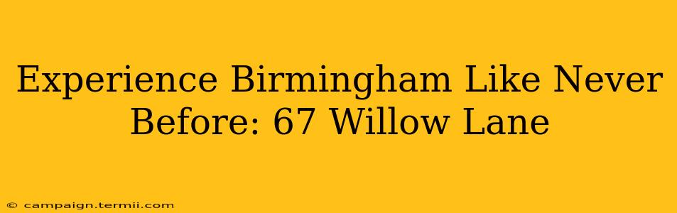 Experience Birmingham Like Never Before: 67 Willow Lane