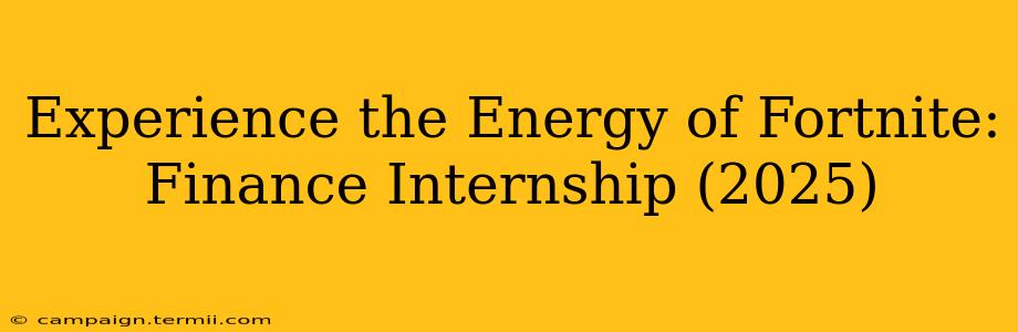 Experience the Energy of Fortnite: Finance Internship (2025)