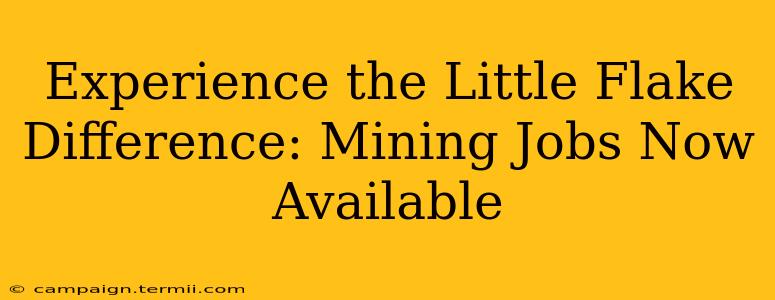 Experience the Little Flake Difference: Mining Jobs Now Available