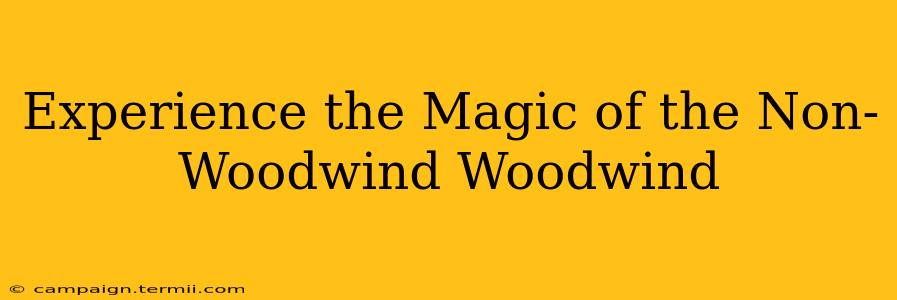 Experience the Magic of the Non-Woodwind Woodwind