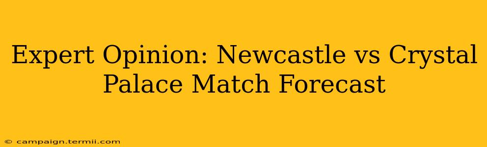 Expert Opinion: Newcastle vs Crystal Palace Match Forecast