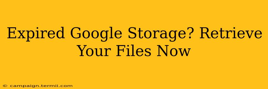 Expired Google Storage? Retrieve Your Files Now