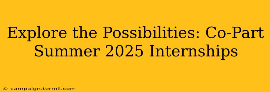 Explore the Possibilities: Co-Part Summer 2025 Internships