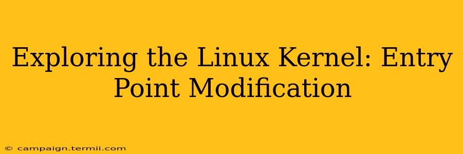 Exploring the Linux Kernel: Entry Point Modification