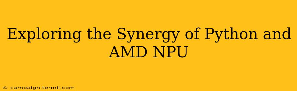 Exploring the Synergy of Python and AMD NPU