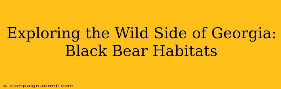 Exploring the Wild Side of Georgia: Black Bear Habitats