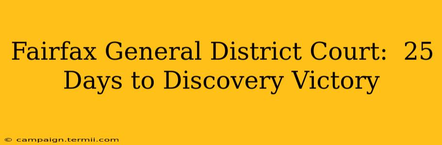 Fairfax General District Court:  25 Days to Discovery Victory