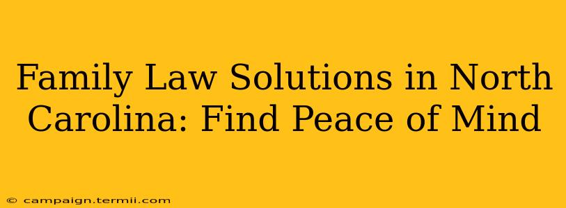 Family Law Solutions in North Carolina: Find Peace of Mind