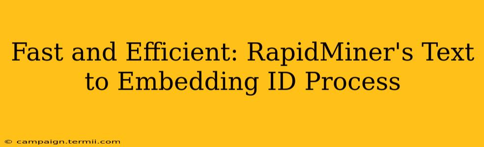 Fast and Efficient: RapidMiner's Text to Embedding ID Process