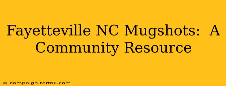 Fayetteville NC Mugshots:  A Community Resource