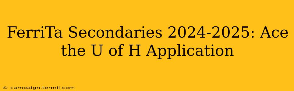 FerriTa Secondaries 2024-2025: Ace the U of H Application