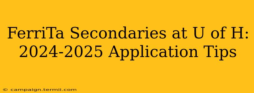 FerriTa Secondaries at U of H: 2024-2025 Application Tips