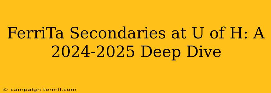 FerriTa Secondaries at U of H: A 2024-2025 Deep Dive